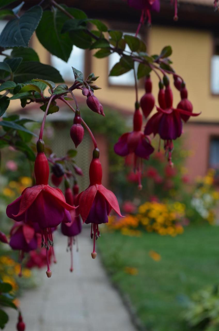 Guest House Zlatniyat Telets Koprivshtitsa Exterior foto
