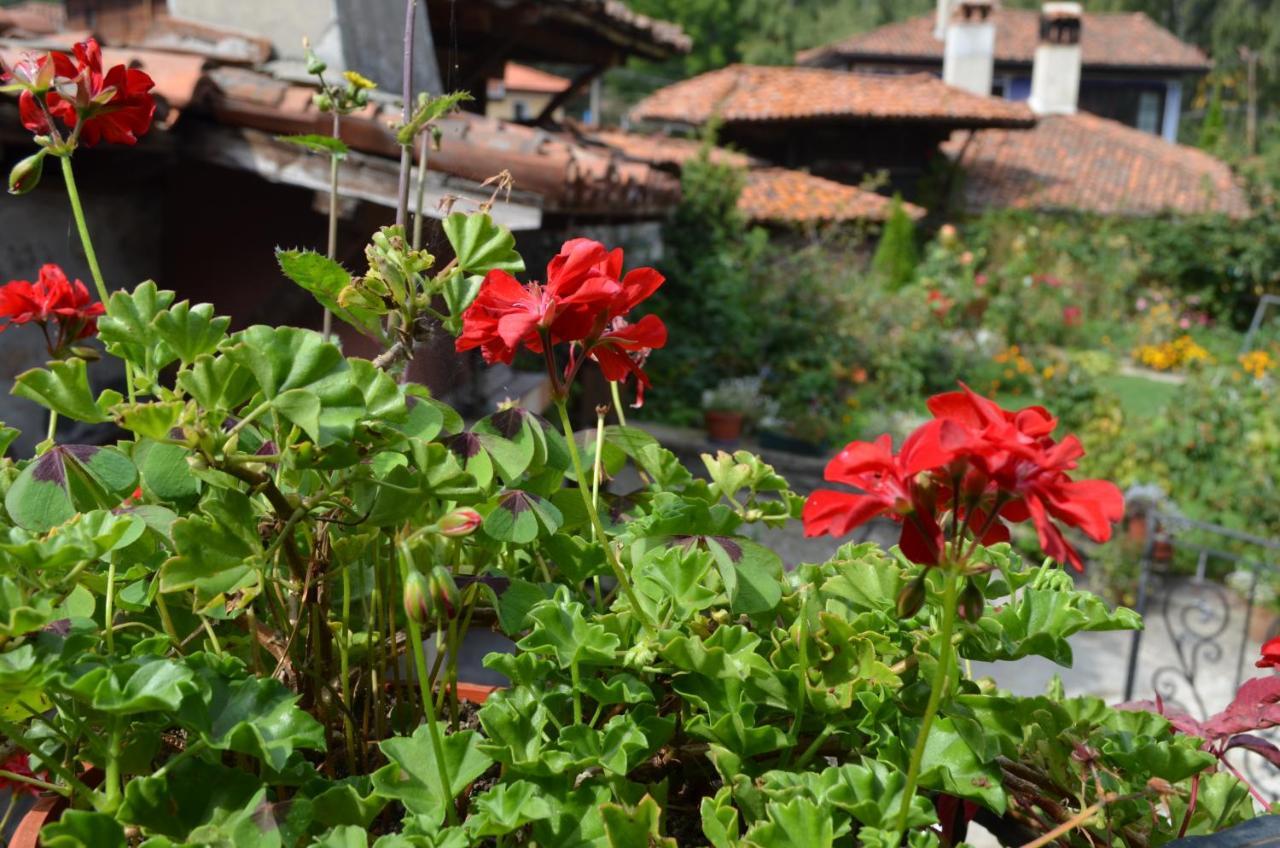 Guest House Zlatniyat Telets Koprivshtitsa Exterior foto